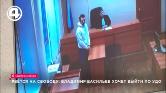 Рвётся на свободу: Владимир Васильев хочет выйти по УДО Рвётся на свободу: Владимир Васильев хочет выйти по УДО