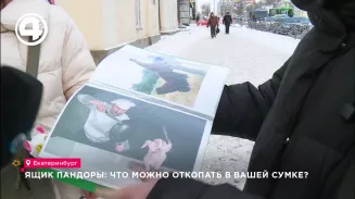 Ящик Пандоры: что можно откопать в вашей сумке? Ящик Пандоры: что можно откопать в вашей сумке?
