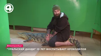 "Уральский Данди" 10 лет воспитывает крокодилов "Уральский Данди" 10 лет воспитывает крокодилов