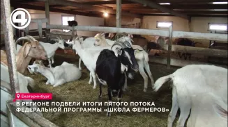 В регионе подвели итоги пятого потока федеральной программы «Школа фермеров» В регионе подвели итоги пятого потока федеральной программы «Школа фермеров»