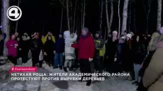 Жители Академического района протестуют против вырубки деревьев Жители Академического района протестуют против вырубки деревьев