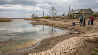 В Староуткинском пруду резко упал уровень воды, что вызвало серьезное беспокойство среди жителей поселка В Староуткинском пруду резко упал уровень воды, что вызвало серьезное беспокойство среди жителей поселка