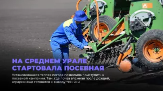 Посевная кампания стартовала в шести районах Свердловской области Посевная кампания стартовала в шести районах Свердловской области