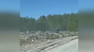 Дело нечисто? Рядом с посёлком Шабровский грузовики сваливают мусор Дело нечисто? Рядом с посёлком Шабровский грузовики сваливают мусор