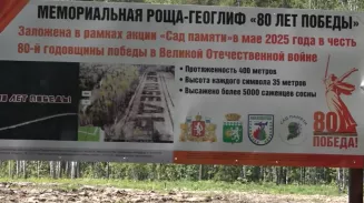 В Берёзовском лесничестве высадили мемориальную рощу-геоглиф «80 ЛЕТ ПОБЕДЫ» В Берёзовском лесничестве высадили мемориальную рощу-геоглиф «80 ЛЕТ ПОБЕДЫ»