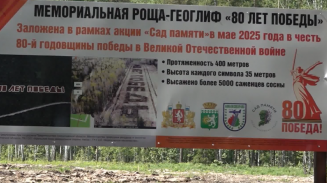 В Берёзовском лесничестве высадили мемориальную рощу-геоглиф «80 ЛЕТ ПОБЕДЫ» В Берёзовском лесничестве высадили мемориальную рощу-геоглиф «80 ЛЕТ ПОБЕДЫ»
