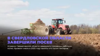 В Свердловской области завершили посев В Свердловской области завершили посев