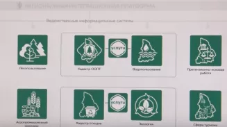 Цифровой сервис для туризма заработал в Свердловской области