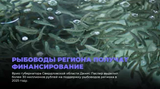 Рыбоводы региона получат финансирование Рыбоводы региона получат финансирование