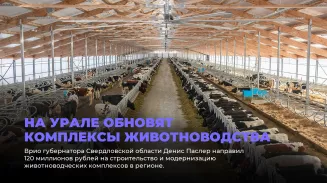 Уральские комплексы животноводства обновятся Уральские комплексы животноводства обновятся