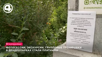 Фотосессии, экскурсии и групповые тренировки в дендропарках стали платными Фотосессии, экскурсии и групповые тренировки в дендропарках стали платными