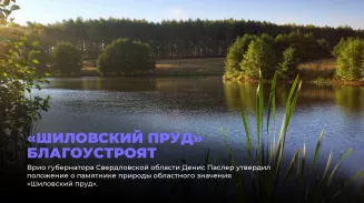 «Шиловский пруд» благоустроят «Шиловский пруд» благоустроят