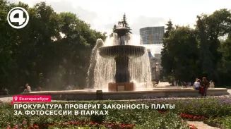 Прокуратура проверит законность платы за фотосессии в парках
