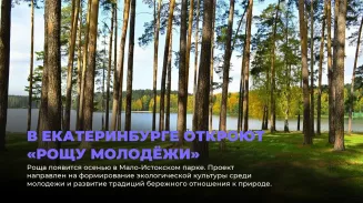 Осенью в Екатеринбурге вырастет «Роща молодёжи»
