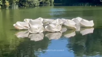 В пруду Харитоновского парка в Екатеринбурге плавают пельмени В пруду Харитоновского парка в Екатеринбурге плавают пельмени