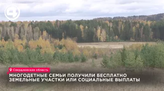 Многодетные семьи получили бесплатно земельные участки или социальные выплаты Многодетные семьи получили бесплатно земельные участки или социальные выплаты