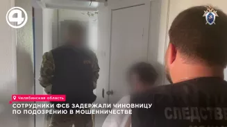 Сотрудники ФСБ задержали чиновницу по подозрению в мошенничестве Сотрудники ФСБ задержали чиновницу по подозрению в мошенничестве