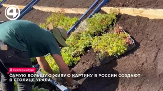 Самую большую живую картину в России создают в столице Урала Самую большую живую картину в России создают в столице Урала