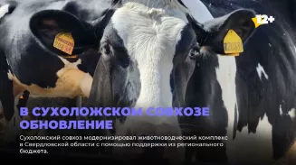 В Сухоложском совхозе обновление