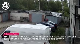 Жительница Верхней Пышмы добивается перевода обидчиков своего сына в спецшколу Жительница Верхней Пышмы добивается перевода обидчиков своего сына в спецшколу