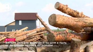 Жители уральской деревни жалуются на шум и пыль от пилорамы рядом с их домами Жители уральской деревни жалуются на шум и пыль от пилорамы рядом с их домами