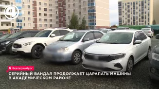 Серийный вандал продолжает царапать машины в Академическом районе Серийный вандал продолжает царапать машины в Академическом районе