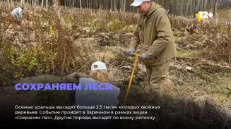 Сохраняем леса Сохраняем леса