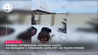 Хозяева ротвейлера, напавшего на женщину с ребенком, заплатят 416 тысяч рублей Хозяева ротвейлера, напавшего на женщину с ребенком, заплатят 416 тысяч рублей