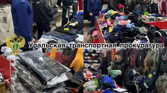 Более 700 единиц контрафактной одежды известных брендов изъяли у уральских торговцев Более 700 единиц контрафактной одежды известных брендов изъяли у уральских торговцев