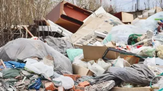Городские службы Екатеринбурга вывезли почти 2000 тон нелегального мусора за 2025 год