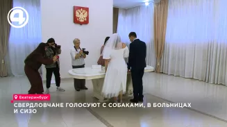 Свердловчане голосуют с собаками, в больницах и СИЗО Свердловчане голосуют с собаками, в больницах и СИЗО