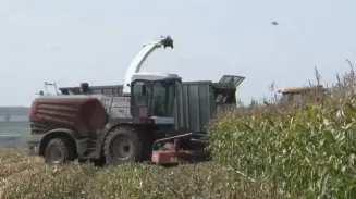 Свердловская область собрала 1,4 млн тонн кормов и 600 тысяч тонн молока в 2024 году Свердловская область собрала 1,4 млн тонн кормов и 600 тысяч тонн молока в 2024 году