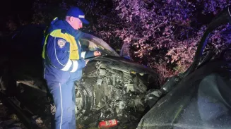 Опасный выезд на встречную полосу: в ДТП под Екатеринбургом пострадали 5 человек Опасный выезд на встречную полосу: в ДТП под Екатеринбургом пострадали 5 человек