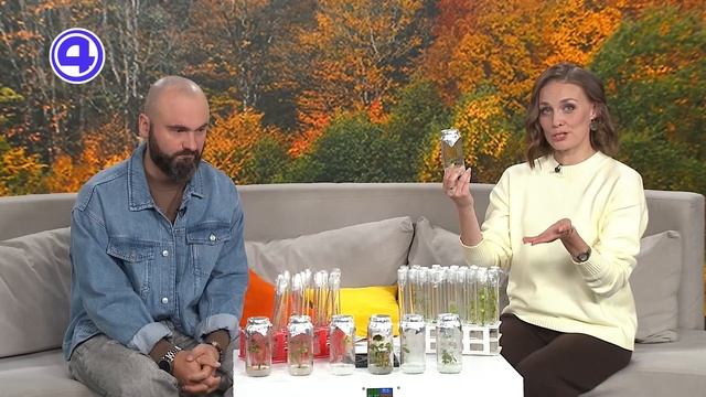 Утренний экспресс от 13.10.2025: С полей на стол!