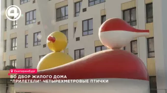 Во дворе жилого дома установили четырехметровых птиц Во дворе жилого дома установили четырехметровых птиц