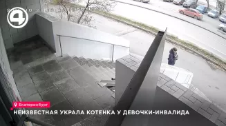 Неизвестная украла котенка у девочки-инвалида Неизвестная украла котенка у девочки-инвалида