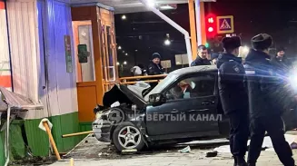 Насмерть сбившего двух девочек в Ревде мужчину поместили в ИВС