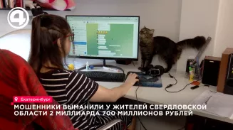 Мошенники выманили у жителей Свердловской области 2 млрд 700 млн рублей Мошенники выманили у жителей Свердловской области 2 млрд 700 млн рублей