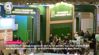 35 регионов России представили продукцию на XIII агропромышленной выставке в Екатеринбурге
