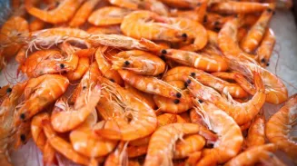 Путин: россияне потребляют рыбы меньше рекомендуемой нормы