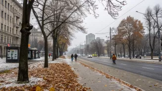 Заморозки до -9 градусов придут в город 4 ноября Заморозки до -9 градусов придут в город 4 ноября