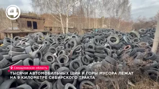 Тысячи автомобильных шин и горы мусора лежат на 9 километре Сибирского тракта
