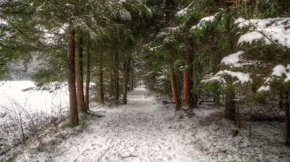 Землетрясение зафиксировано под Екатеринбургом Землетрясение зафиксировано под Екатеринбургом