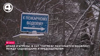 Драки и угрозы: в СНТ разгорается конфликт между садоводами и председателем