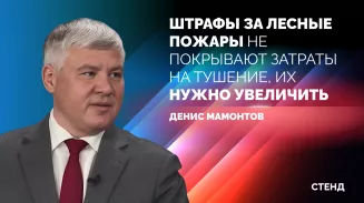Штрафы за лесные пожары не покрывают затраты на тушение, их нужно увеличить