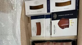 Свердловский производитель отправил 337 кг рыбной продукции в ОАЭ Свердловский производитель отправил 337 кг рыбной продукции в ОАЭ