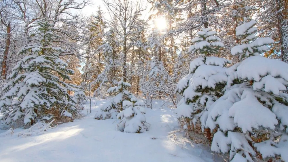 На тропе здоровья в Екатеринбурге задержали мужчину с наркотиком На тропе здоровья в Екатеринбурге задержали мужчину с наркотиком