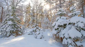 На тропе здоровья в Екатеринбурге задержали мужчину с наркотиком