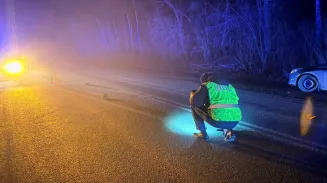 Пешехода сбили насмерть в Полевском районе