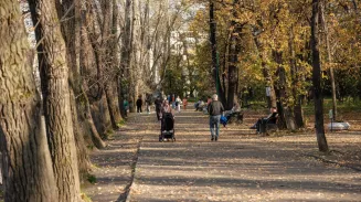 Екатеринбург получит 30 млн рублей за лучшую муниципальную практику